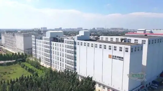 澳宝典正版资料