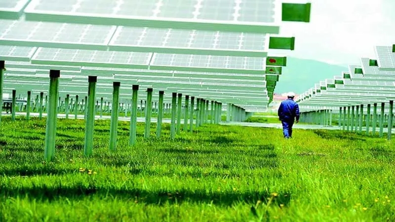 澳宝典正版资料